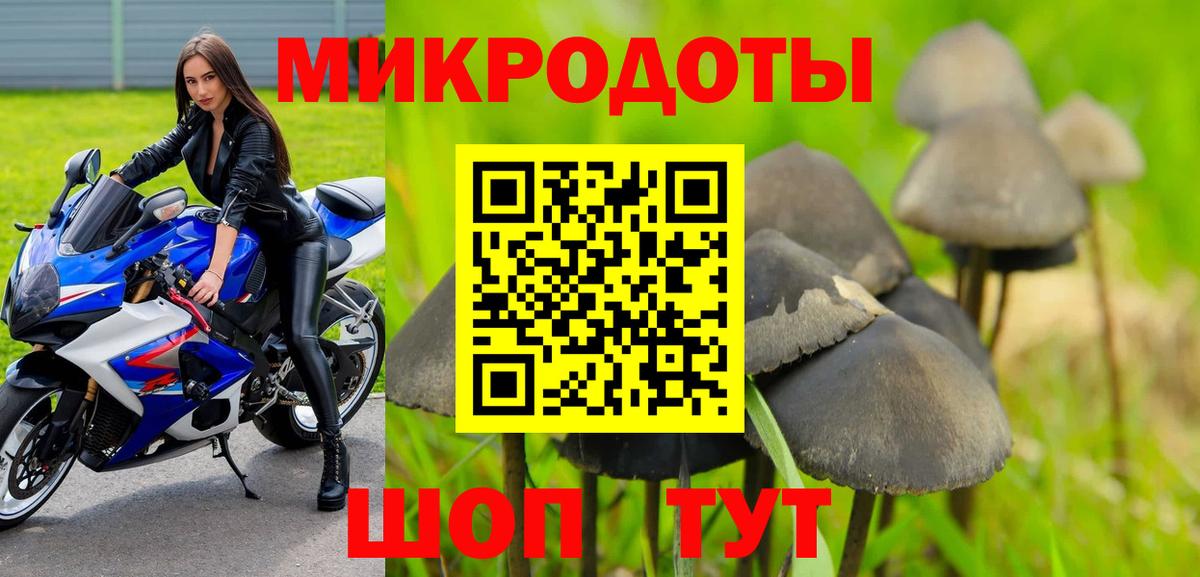 Ейск  Галлюциногенные грибы Psilocybe  Вход с VPN 