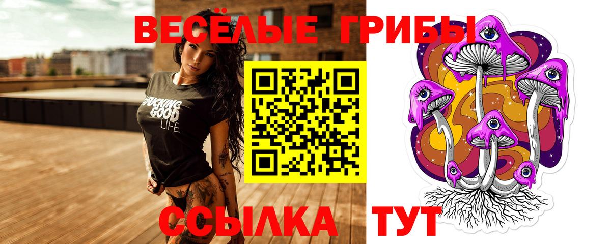 Псилоцибиновые грибы прущие грибы Ейск